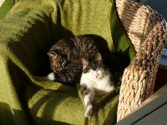 Zwei neue D�nemarkfan�s 